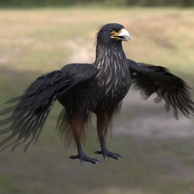 红腿巨隼红腿卡拉鹰动物3D模型