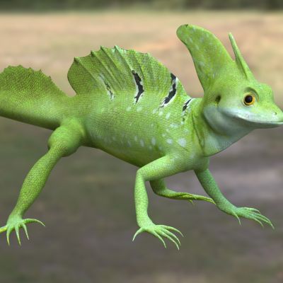 双冠蜥背鳍蜥属动物