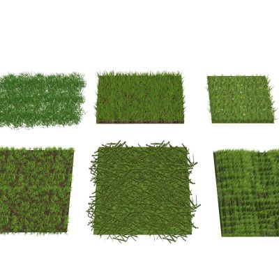 景观植物地被花卉草坪草皮草地草花景观草杂草观赏草