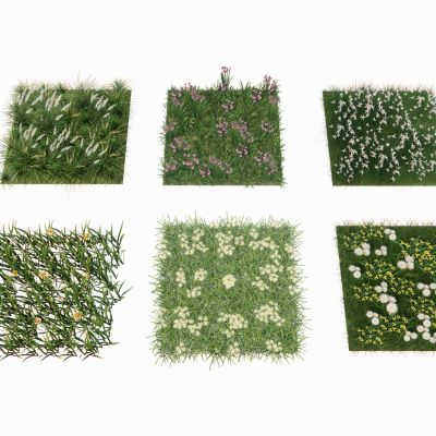 景观植物地被花卉草坪草皮草地草花景观草杂草观赏草野花