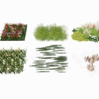景观植物地被花卉草坪草皮草花景观草杂草观赏草枯草花境组合