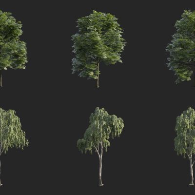 动态树 动态植物 风动树 3D模型