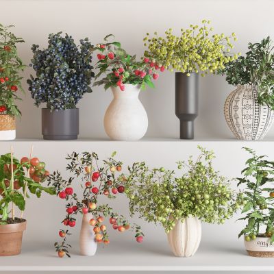 现代花盆盆栽组合