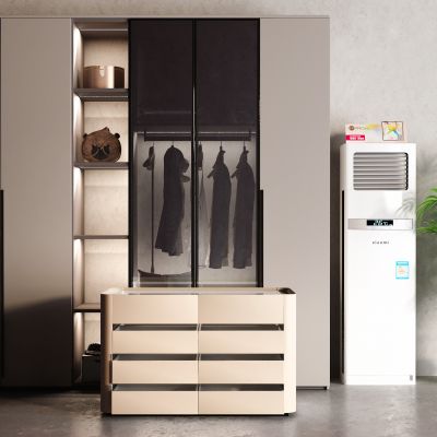 现代衣柜 衣帽间岛台 落地空调  盆栽