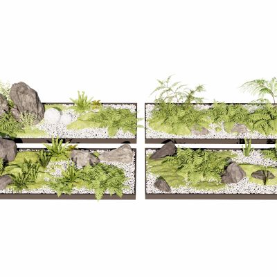 蕨类植物盆栽摆件花盆室内花卉盆景肾蕨苹果蕨景石苔藓花镜组合