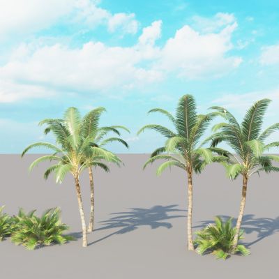 棕榈树3D模型
