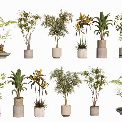 现代室内盆栽景观植物热带植物花盆摆件家居植物绿植盆景芭蕉棕榈散尾葵