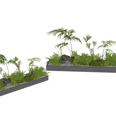 蕨类植物景观植物地被花卉盆栽盆景苔藓肾蕨苹果蕨景观草景石砾石生态景观池狐尾天门冬