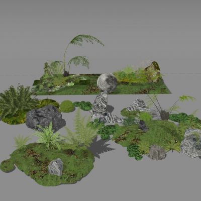 蕨类植物景观植物盆栽盆景苔藓肾蕨苹果蕨组合景观草景石砾石生态景观池