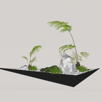 蕨类植物盆栽摆件花盆室内花卉盆景肾蕨苹果蕨景石