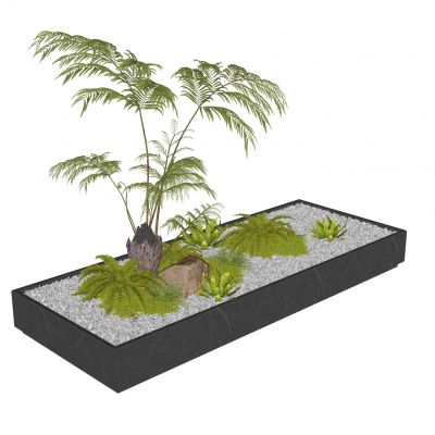 蕨类植物盆栽摆件花盆室内花卉盆景肾蕨苹果蕨景石苔藓花镜组合砾石