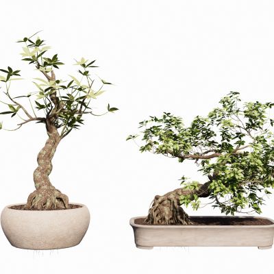 新中式植物盆栽盆景绿植花盆摆件书房摆件造型树