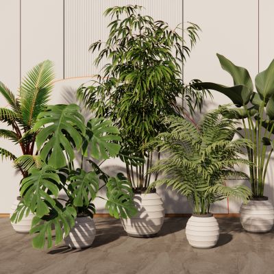 现代植物盆栽绿植室内绿植龟背竹散尾葵芭蕉叶植物摆件盆景竹子