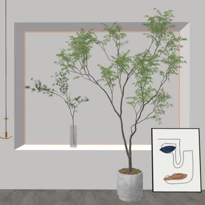 现代室内盆栽热带植物花盆摆件家居植物绿植大盆景南天竺