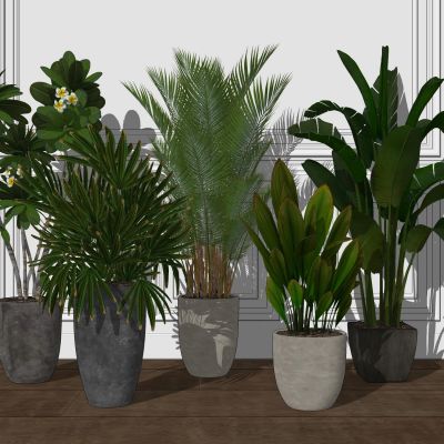 现代植物盆栽室内绿植盆栽散尾葵芭蕉叶简约盆景组合植物堆盆栽摆件