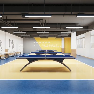现代乒乓球活动室