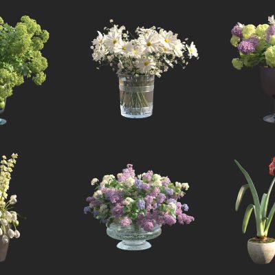 盆栽 花瓶插花 水仙花盆栽 