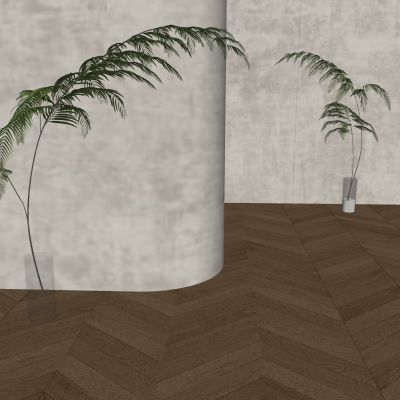 现代绿植盆栽 植物盆景 景观植物 植物组合