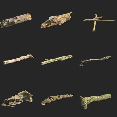 枯树 树干 树枝木头桩