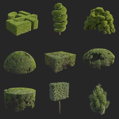 灌木 绿篱 园艺 绿化带植物 