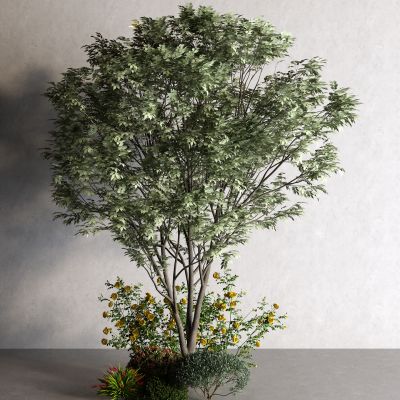 现代景观树 灌木