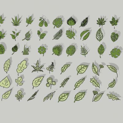 现代植物枫叶落叶枯叶叶片树叶剪影图标图标墙体装饰挂件异形立体 