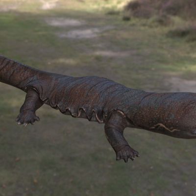 大鲵娃娃鱼人鱼孩儿鱼脚鱼啼鱼腊狗动物