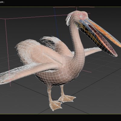 粉白鹈鹕犁鹕淘河塘鹅鹈鹕动物