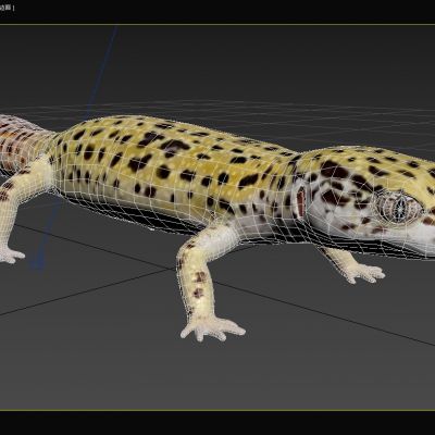 豹纹蜥虎豹纹壁虎动物
