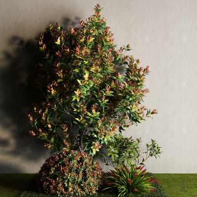 现代景观树 草地 灌木