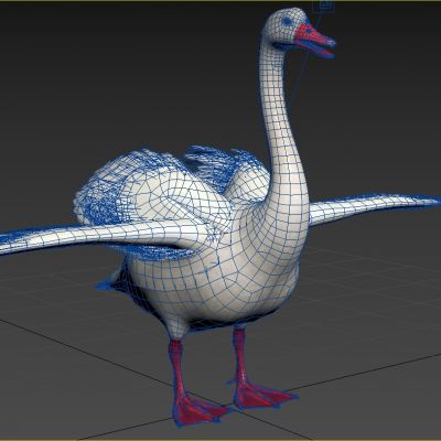 扁嘴天鹅扁嘴鹅动物生物