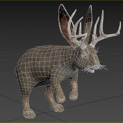 鹿角兔子动物生物