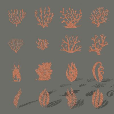 现代海洋生物鱼剪影图标墙饰挂件装饰 海螺贝壳剪影 海洋鱼类生物植物珊瑚水草剪影