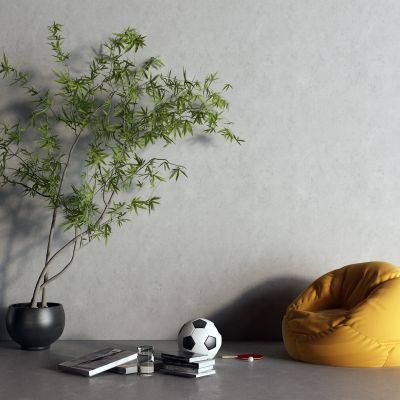 现代懒人沙发 足球 盆栽