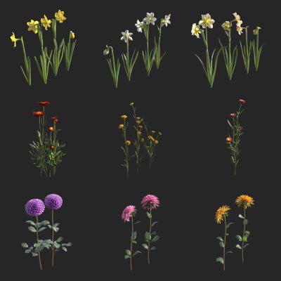 水仙花 菊花 花草 大丽菊 大丽花