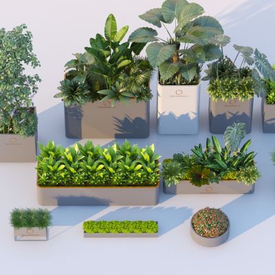 现代植物花箱盆栽热带植物地被花卉金属花箱商业外摆