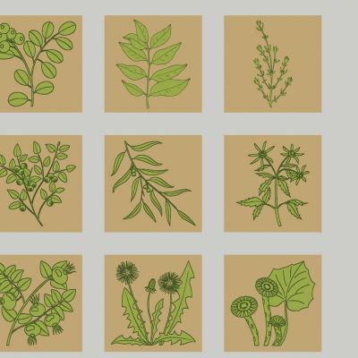 现代中草药剪影 中医药草图案 中药材花草植物  中草药植物墙饰挂件