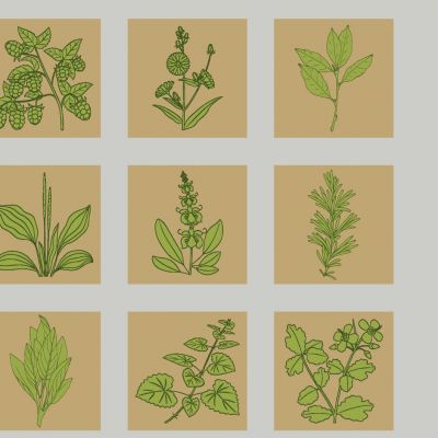 现代中草药剪影 中医药草图案 中药材花草植物  中草药植物墙饰挂件