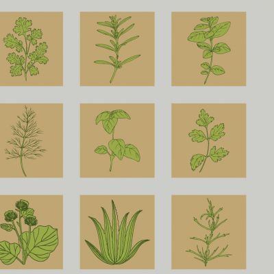 现代中草药剪影 中医药草图案 中药材花草植物  中草药植物墙饰挂件