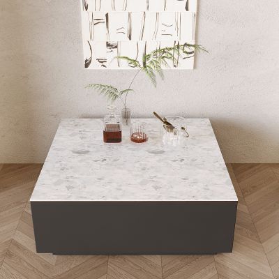 现代方形茶几 大理石台面茶几 水生植物 酒瓶酒杯酒水