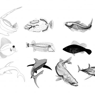 海洋生物CAD图库