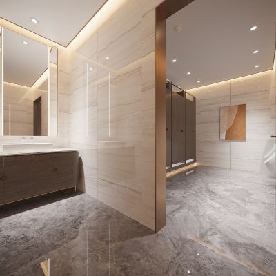 现代公共卫生间