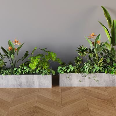 现代植物堆 室内造景植物堆 植物组合 植物造景 蕨类植物鲜花