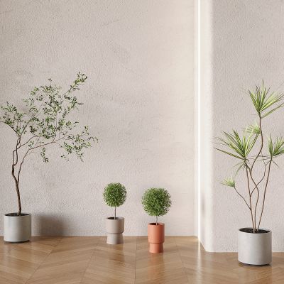 现代盆栽盆景 植物组合 绿植盆栽 植物造景