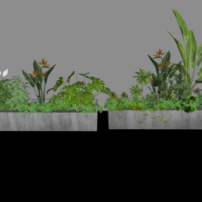 现代植物堆 室内造景植物堆 植物组合 植物造景 蕨类植物鲜花