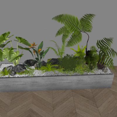 现代植物堆 室内造景植物堆 植物组合 植物造景 蕨类植物