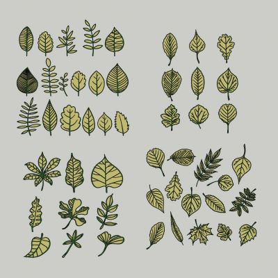 现代植物热带植物树叶叶脉剪影图标墙饰挂件