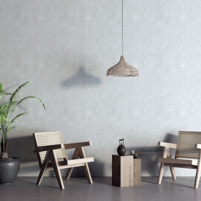 侘寂休闲椅 藤编吊灯 盆栽