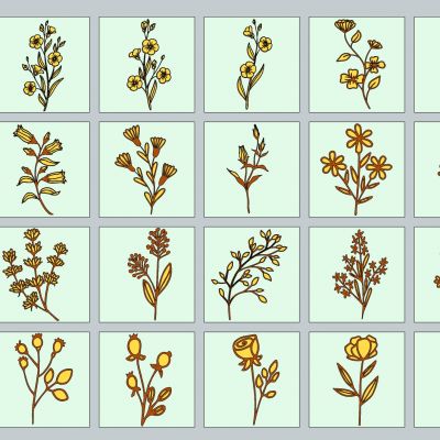 现代植物花卉花草花枝花朵树枝丫剪影图标