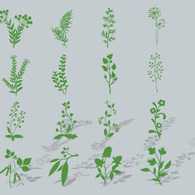 现代植物花卉花草绿植剪影图标